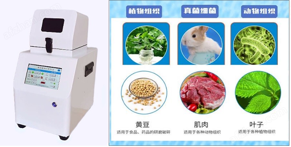 標(biāo)準(zhǔn)型高通量組織研磨儀