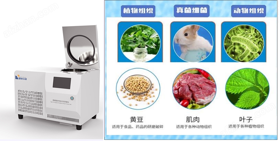 1-230F6112153330.jpg 冷凍型高通量組織研磨儀